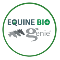 equine
